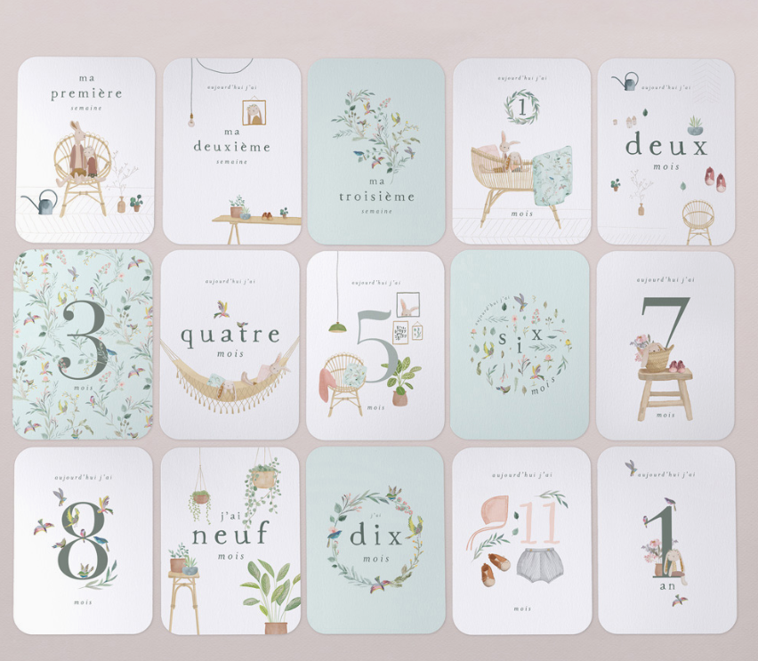 Cartes étapes Ma première année | Lulli