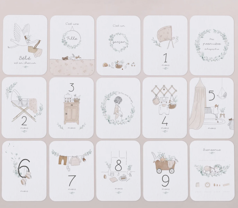 Cartes étapes grossesse | Petit béguin