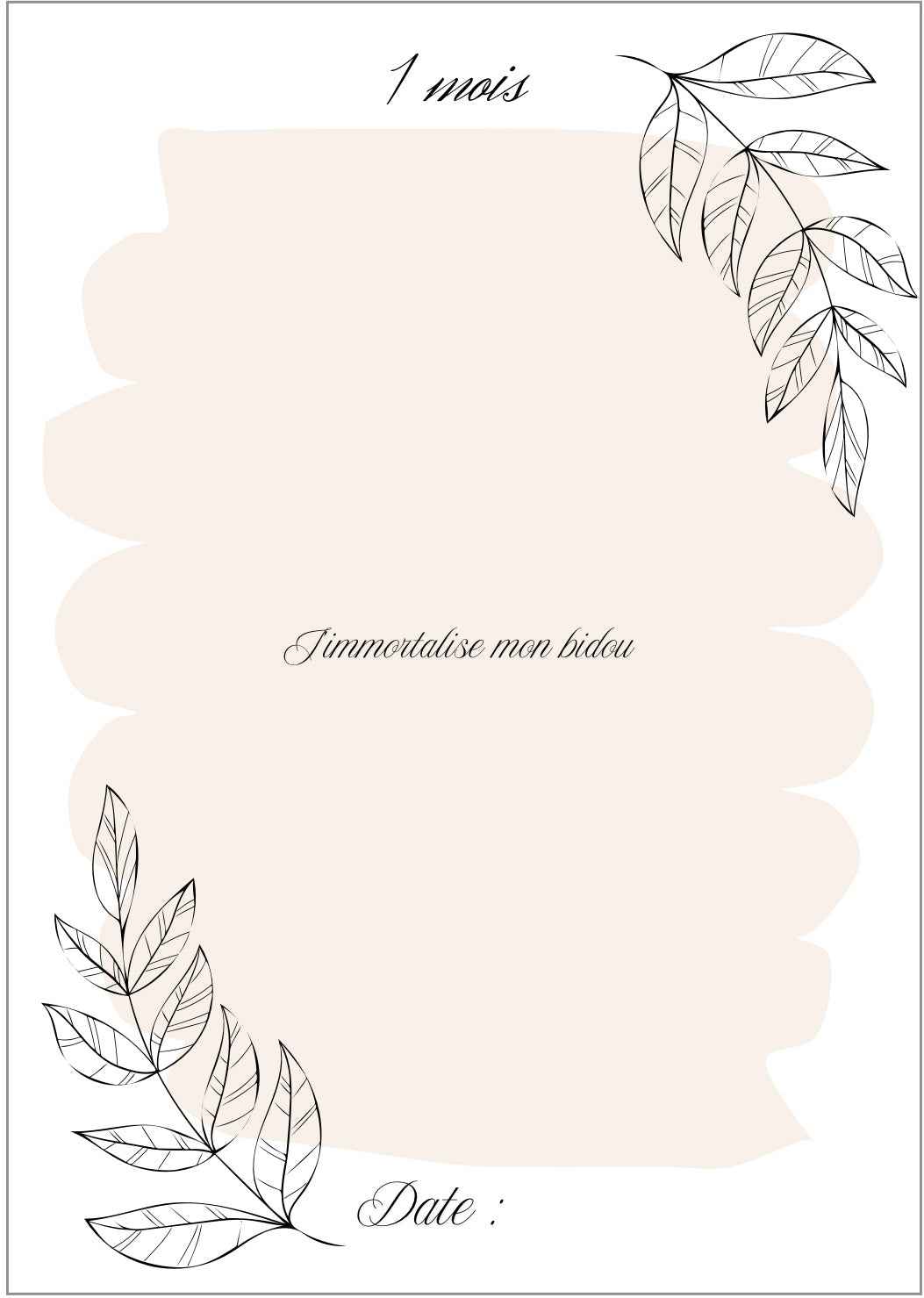 Précommande Journal de grossesse