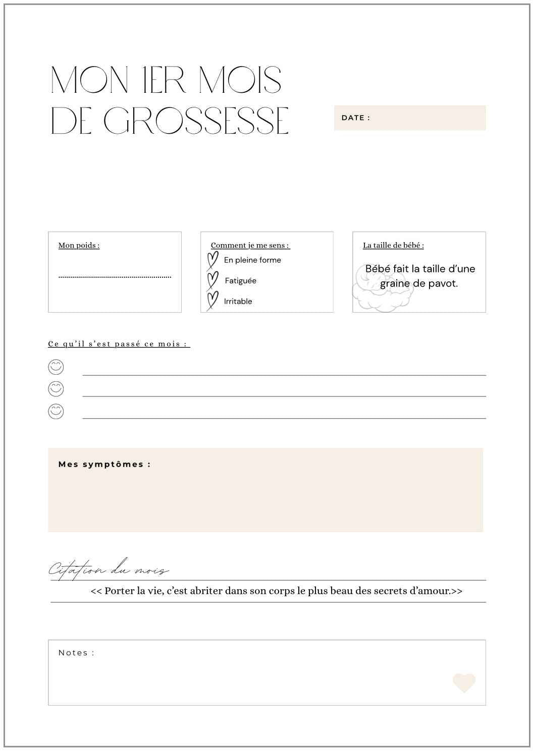 Précommande Journal de grossesse