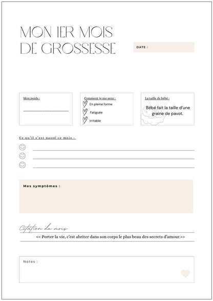 Précommande Journal de grossesse