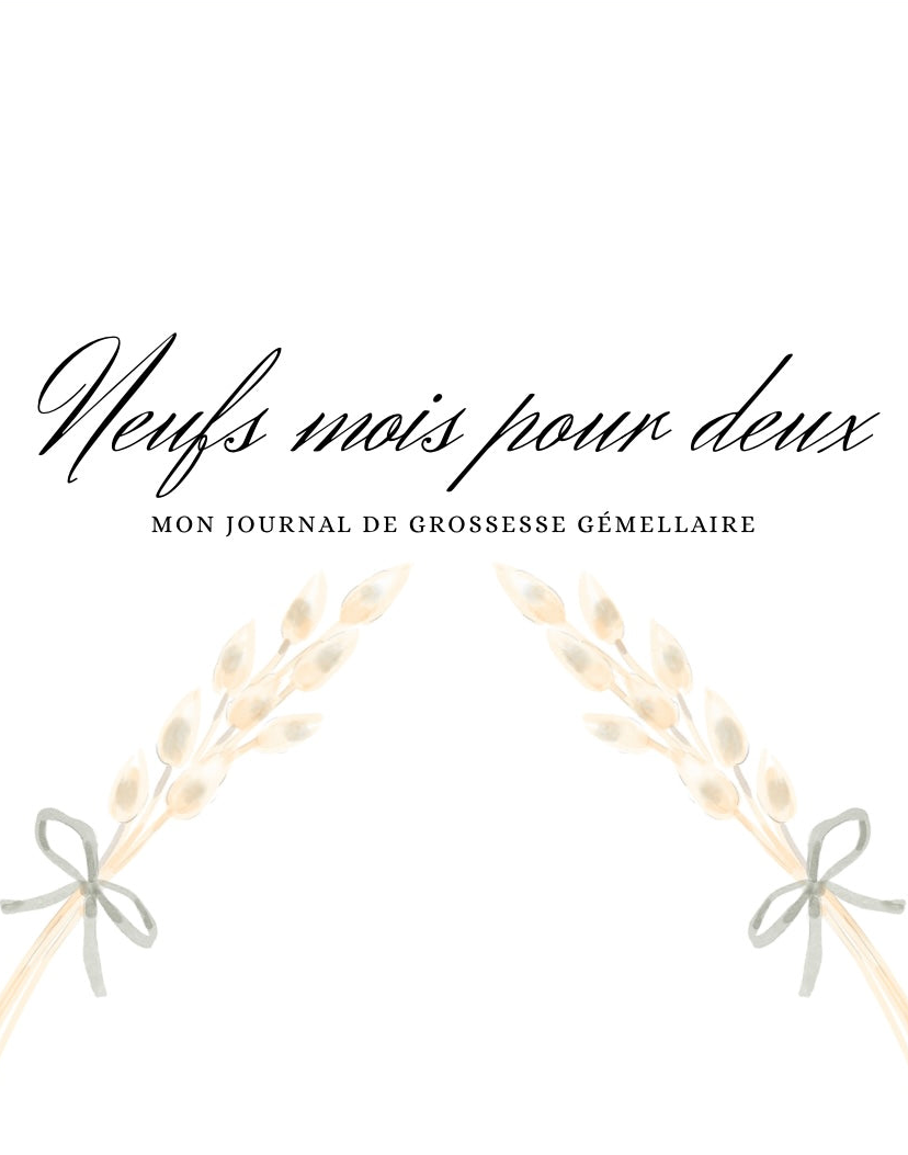 Journal de grossesse gémellaire