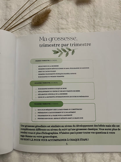 Journal de grossesse gémellaire