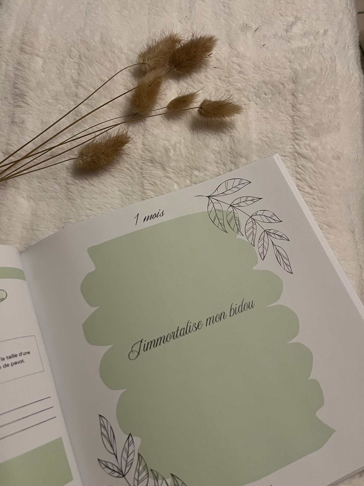 Journal de grossesse gémellaire