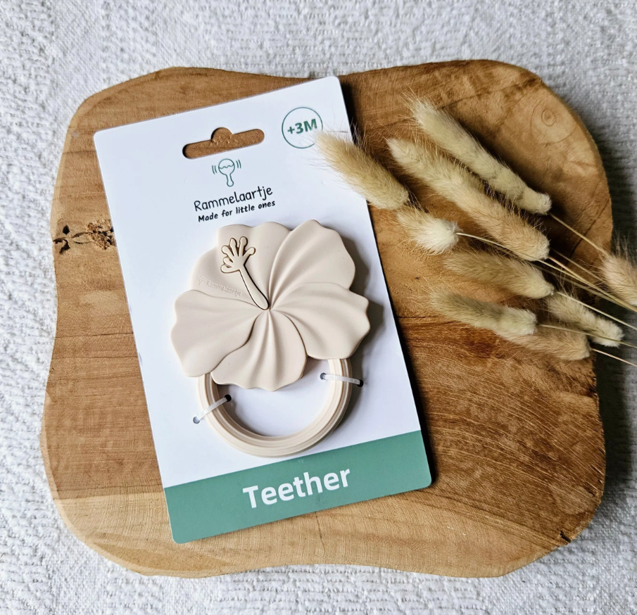 Box mensuelle grossesse