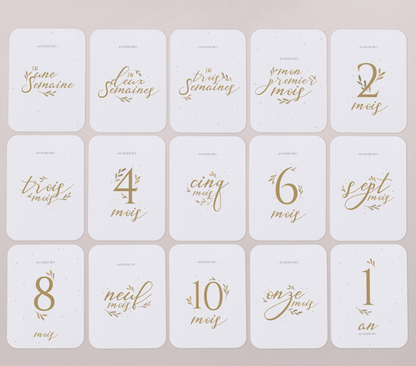 Cartes étapes Ma première année | Lou