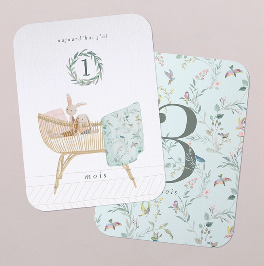 Cartes étapes Ma première année | Lulli