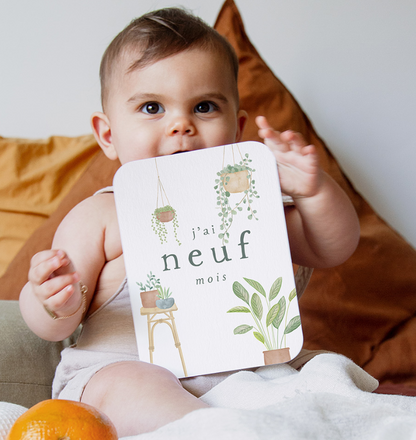 Cartes étapes Ma première année | Lulli