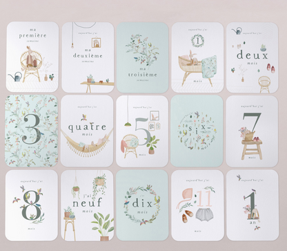 Cartes étapes Ma première année | Lulli