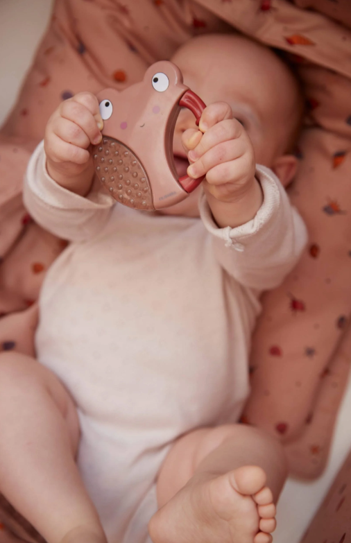 Lot de 2 anneaux de dentition rafraichissants