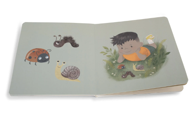 Livre pour bébé | la forêt