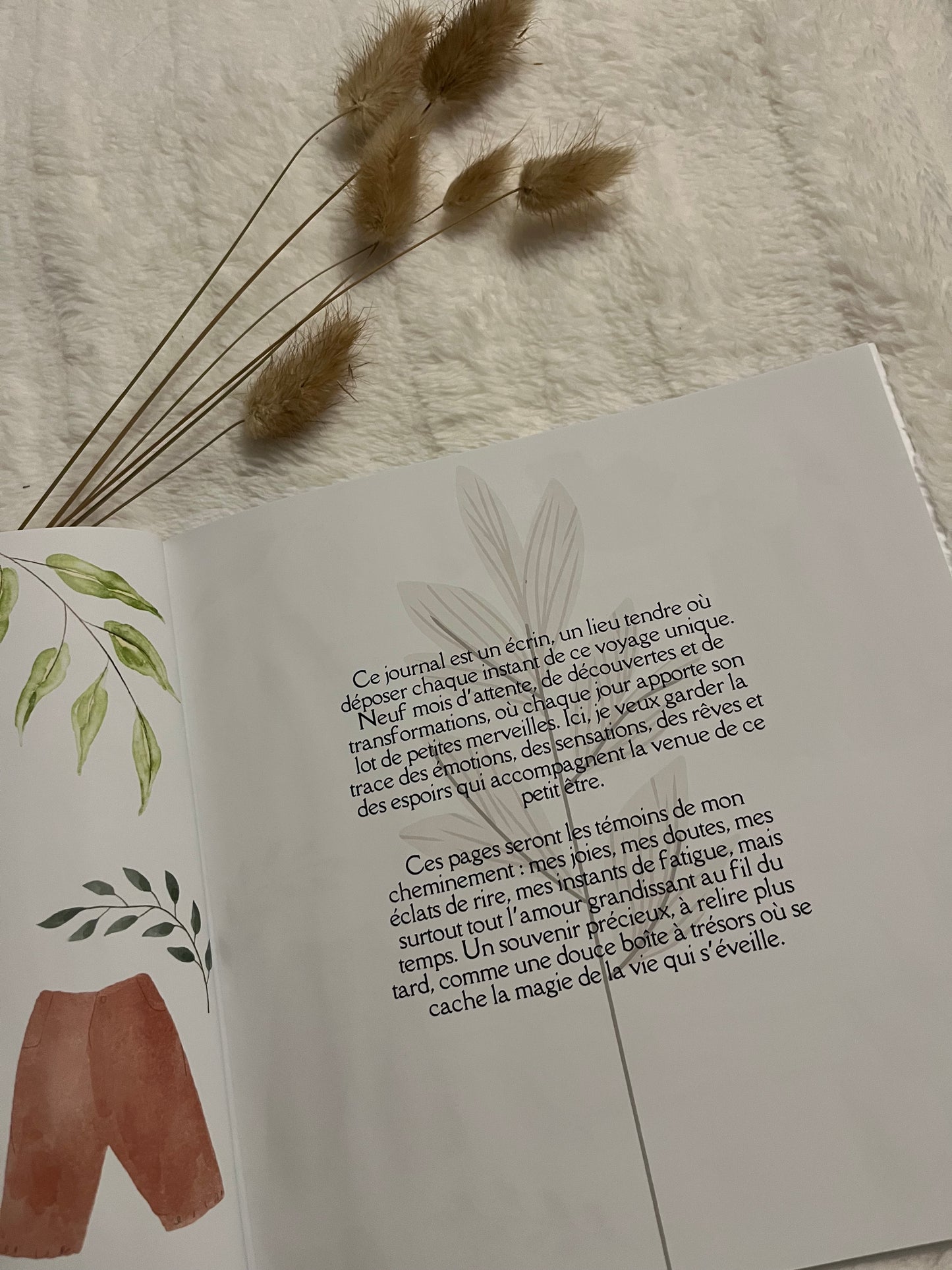 Journal de grossesse gémellaire